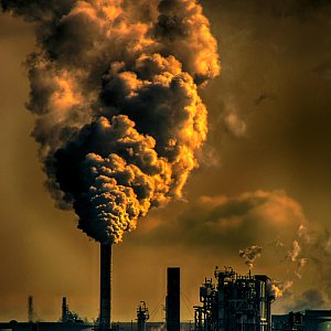 pexels-chrisleboutillier-929385